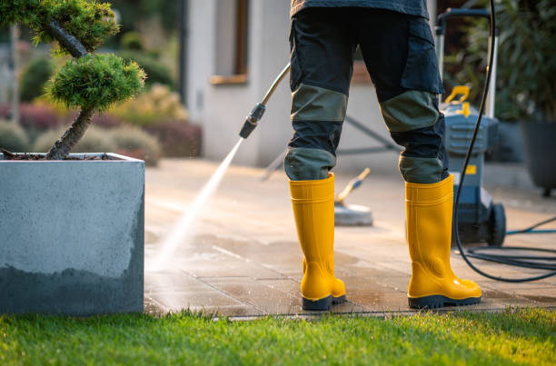 Best Exterior Home Cleaning  in Meggett, SC